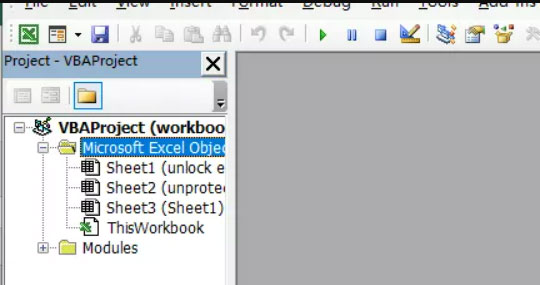vba project password
