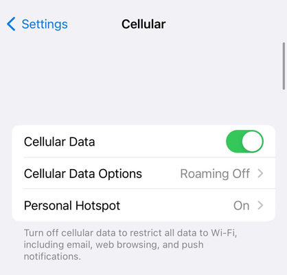 iOS 16 Problems: Cellular Data Not Working