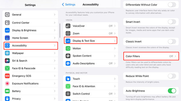 Check Greyscale Feature to Fix iPhone Grey Screen of Death