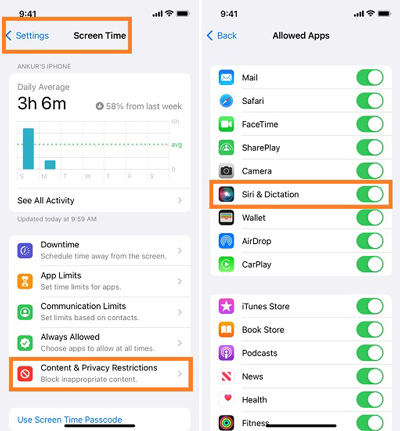 enable siri and dictation