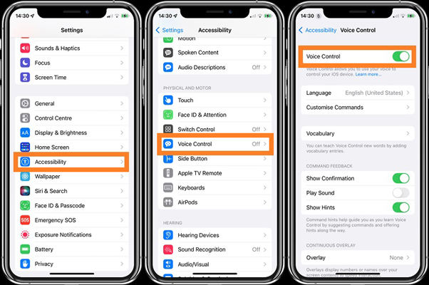 enable voice control