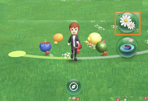 how to plant pikmin bloom flowers