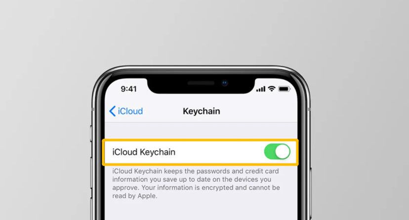 how to see wifi password on iPhone icloud keychain