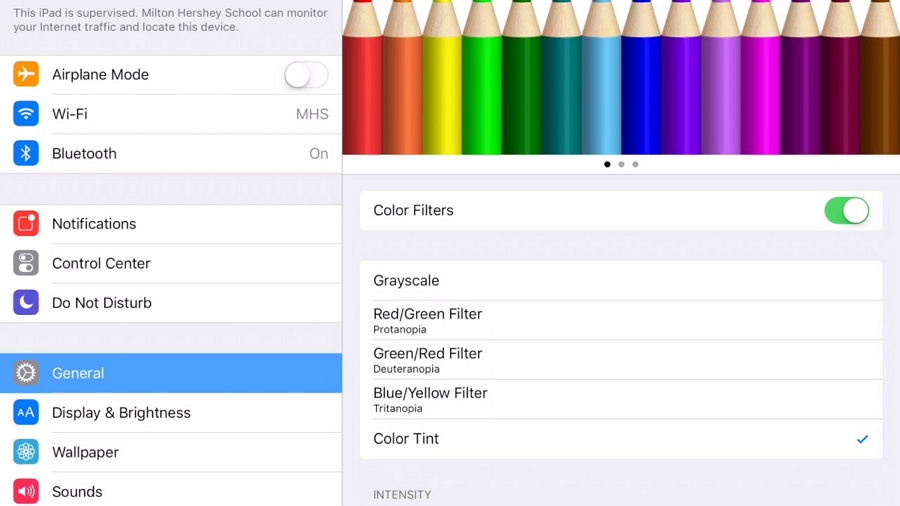 Turn Off Color Filters to fix iPad Screen Color Messed Up