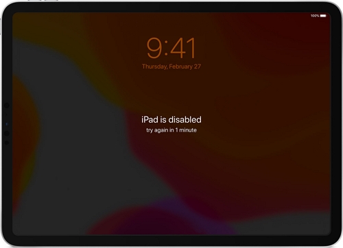 unlockgo - ipad is disabled