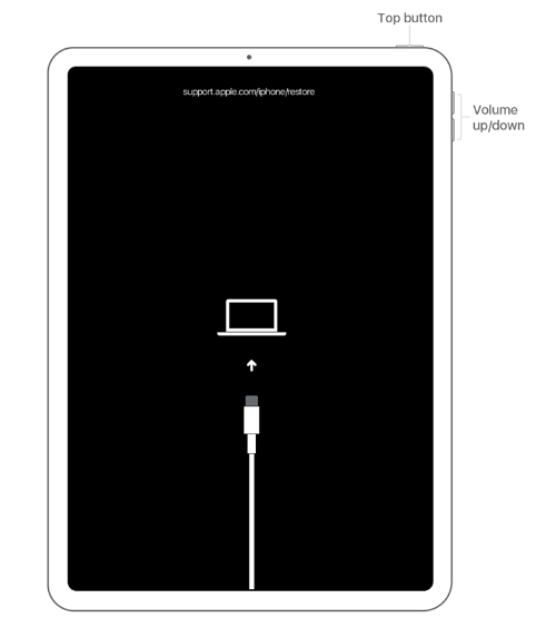 Update ipad using iTunes to Fix iPad Flashing Apple Logo