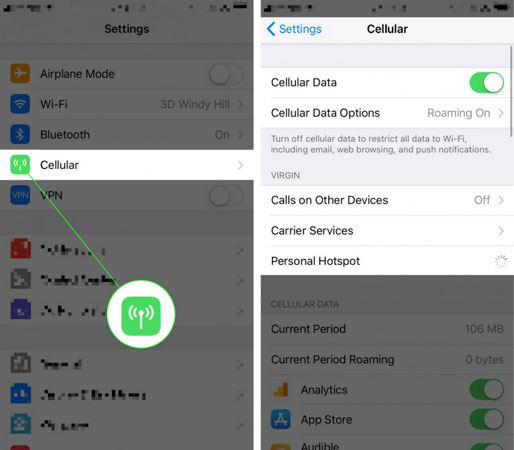 Check Cellular Settings to Fix iPhone No Service