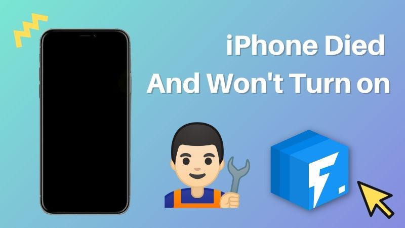 iPhone Died and Won't Turn on