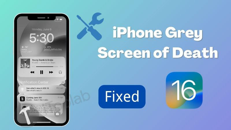 iPhone Grey Screen of Death
