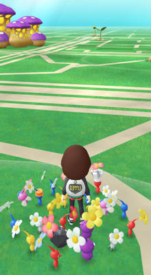 Pikmin bloom map