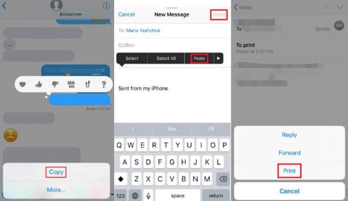 print screenshot email