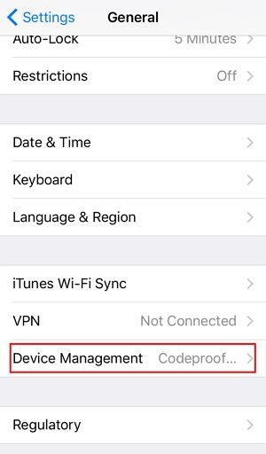 Remove MDM on iPhone with Password  step 2