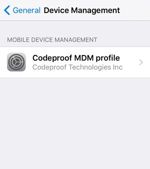 Remove MDM on iPhone with Password  step 3
