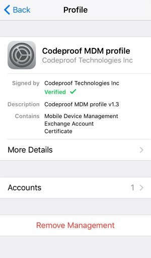 Remove MDM on iPhone with Password  step 4