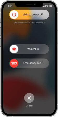 Force Restart Your iPhone