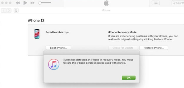 itunes detect recovery mode