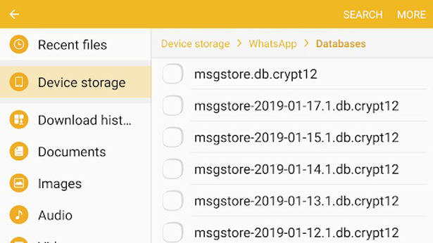whatsapp folder on local backup