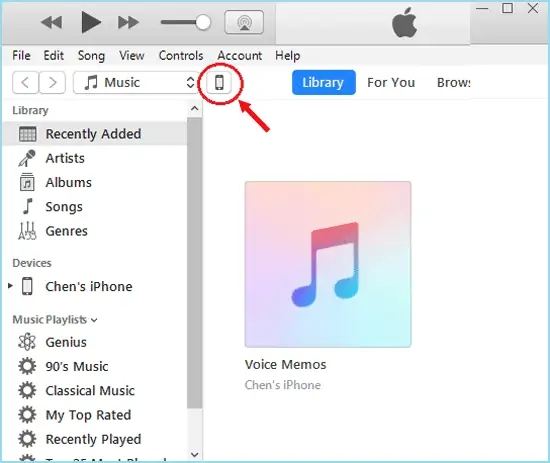 select your iPhone icon on iTunes