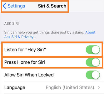 siri and search