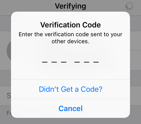 get verification code on iphone