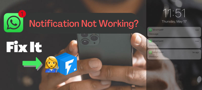 WhatsApp notification not working