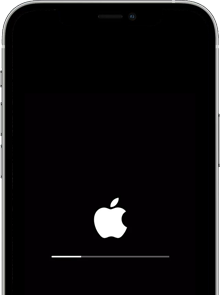 iOS Froze during Update