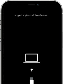 iPhone/iPad Bricked After Update