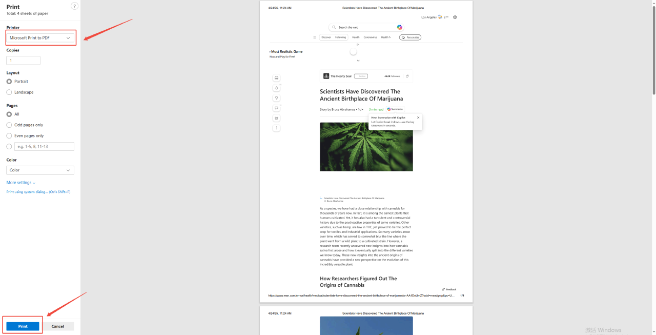 save pdf microsoft print