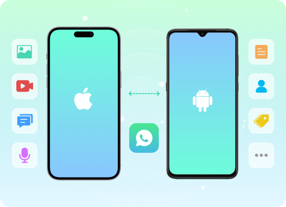 transfer-whatsapp-data-type